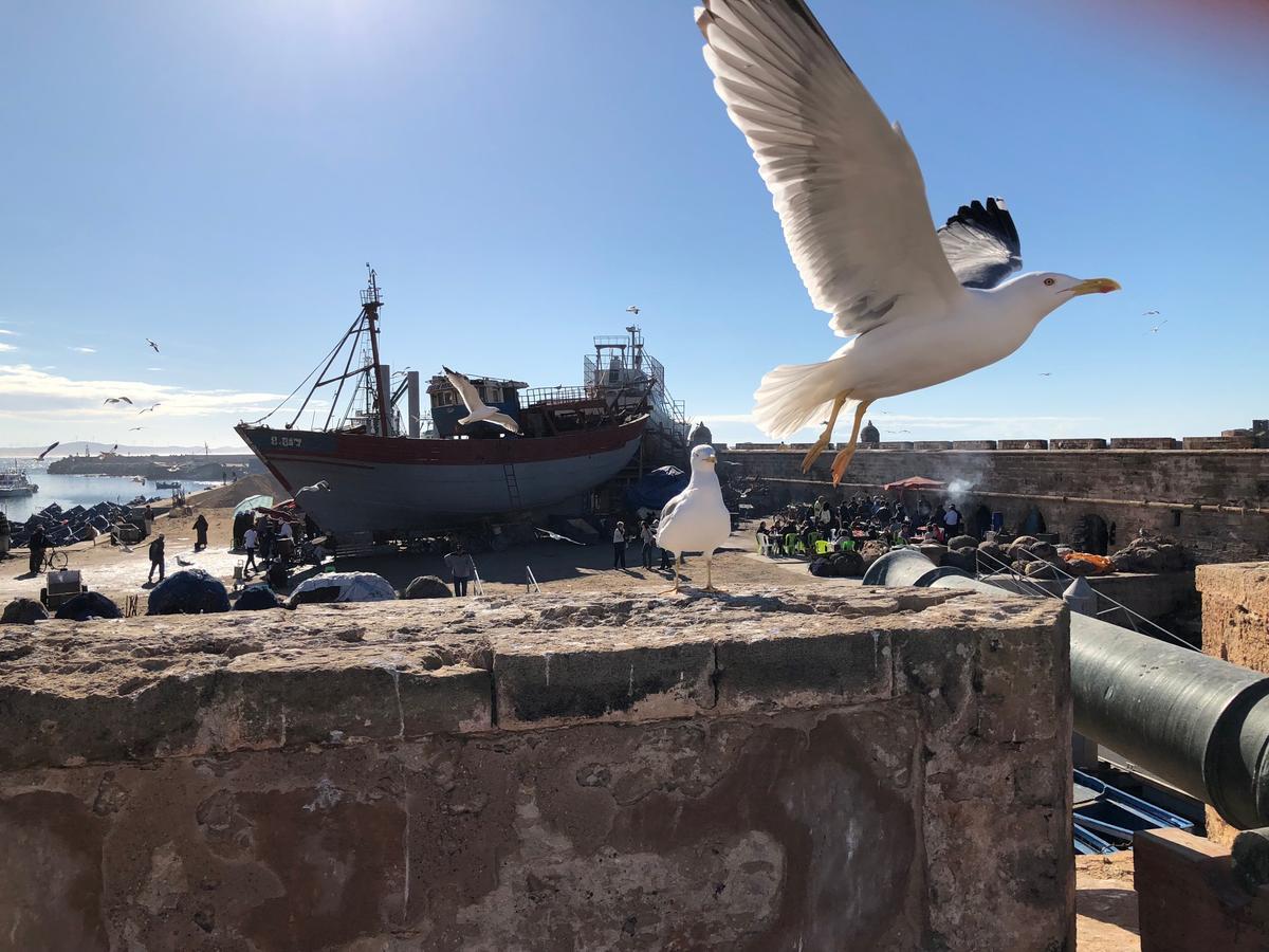 Riad De La Mer エッサウィラ エクステリア 写真